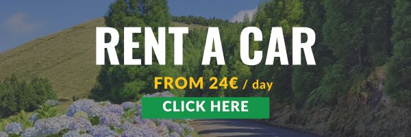 Rent a Car