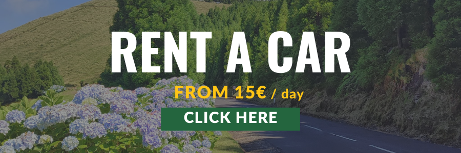 rent a car