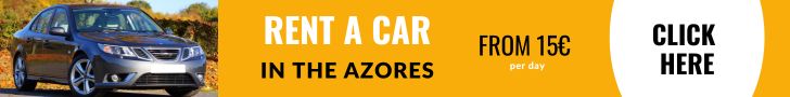 rent a car site