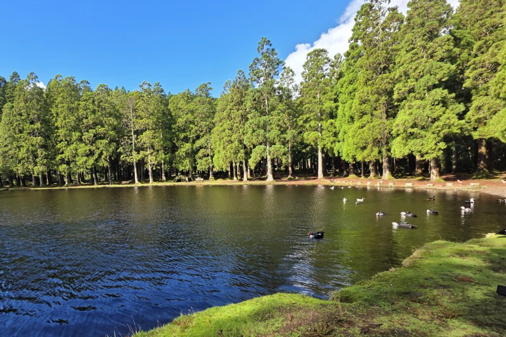 Terceira Azores Kids