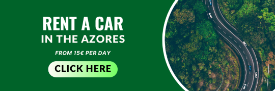 rent a car azores gps