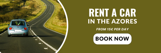 rent a car azores gps