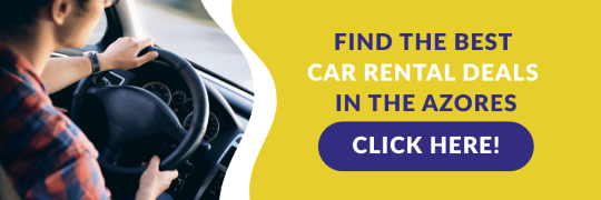 rent a car azores gps
