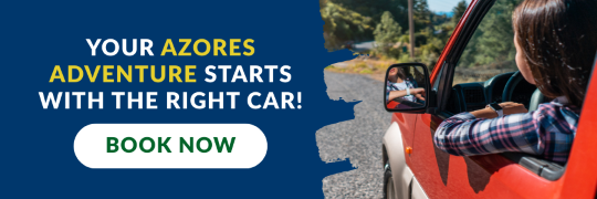 rent a car azores gps