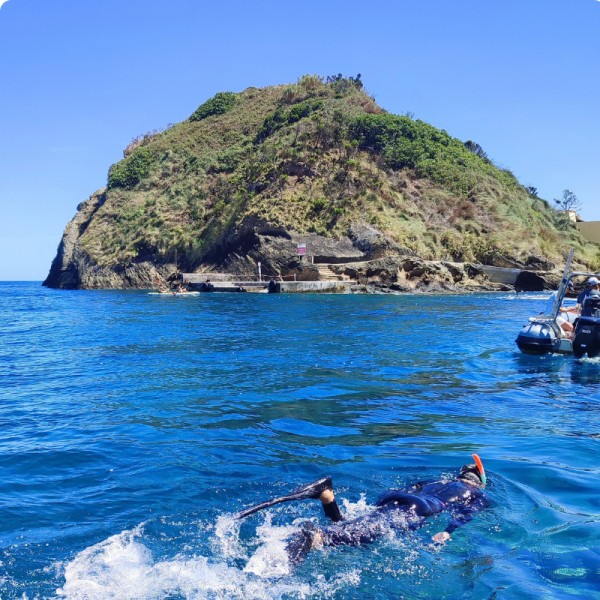 snorkeling azores gps