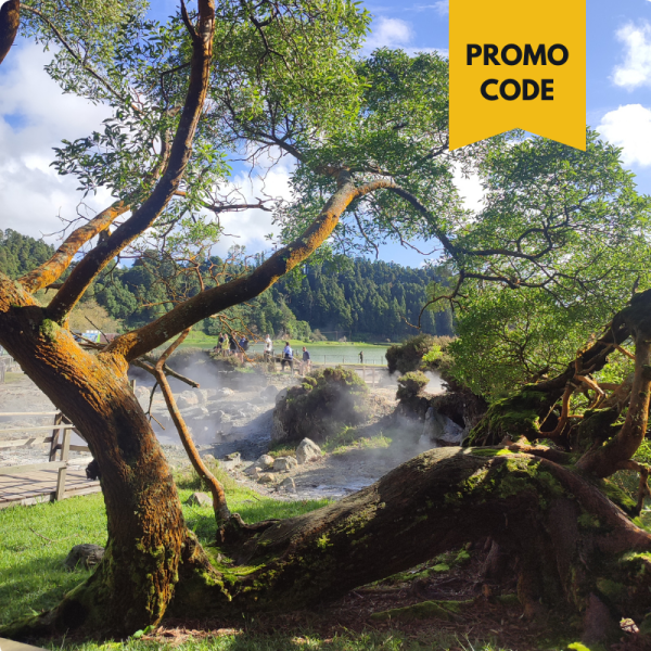 Design sem nome (31)