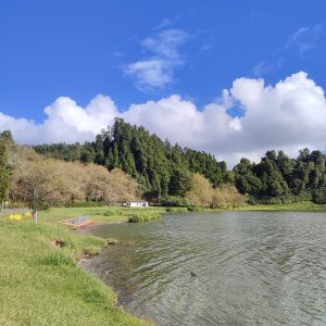 Furnas1