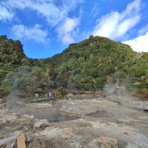 Furnas4