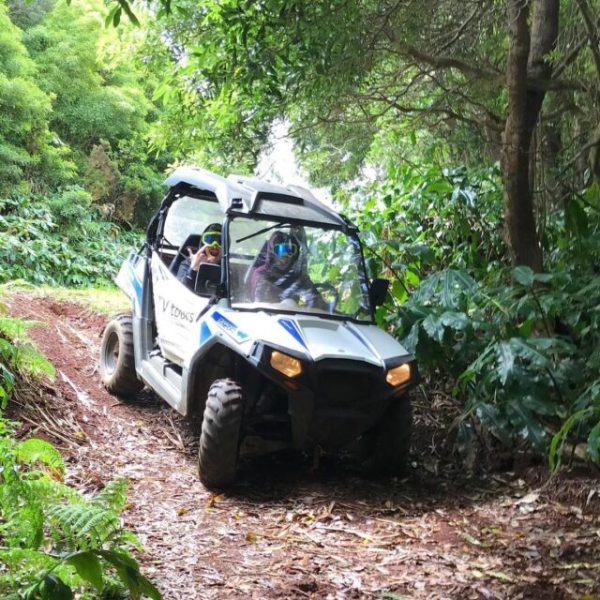 buggy tour terceira island