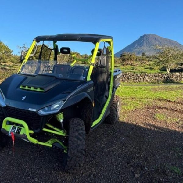 pico buggy
