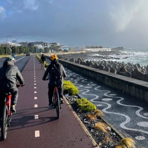 e-bike city tour